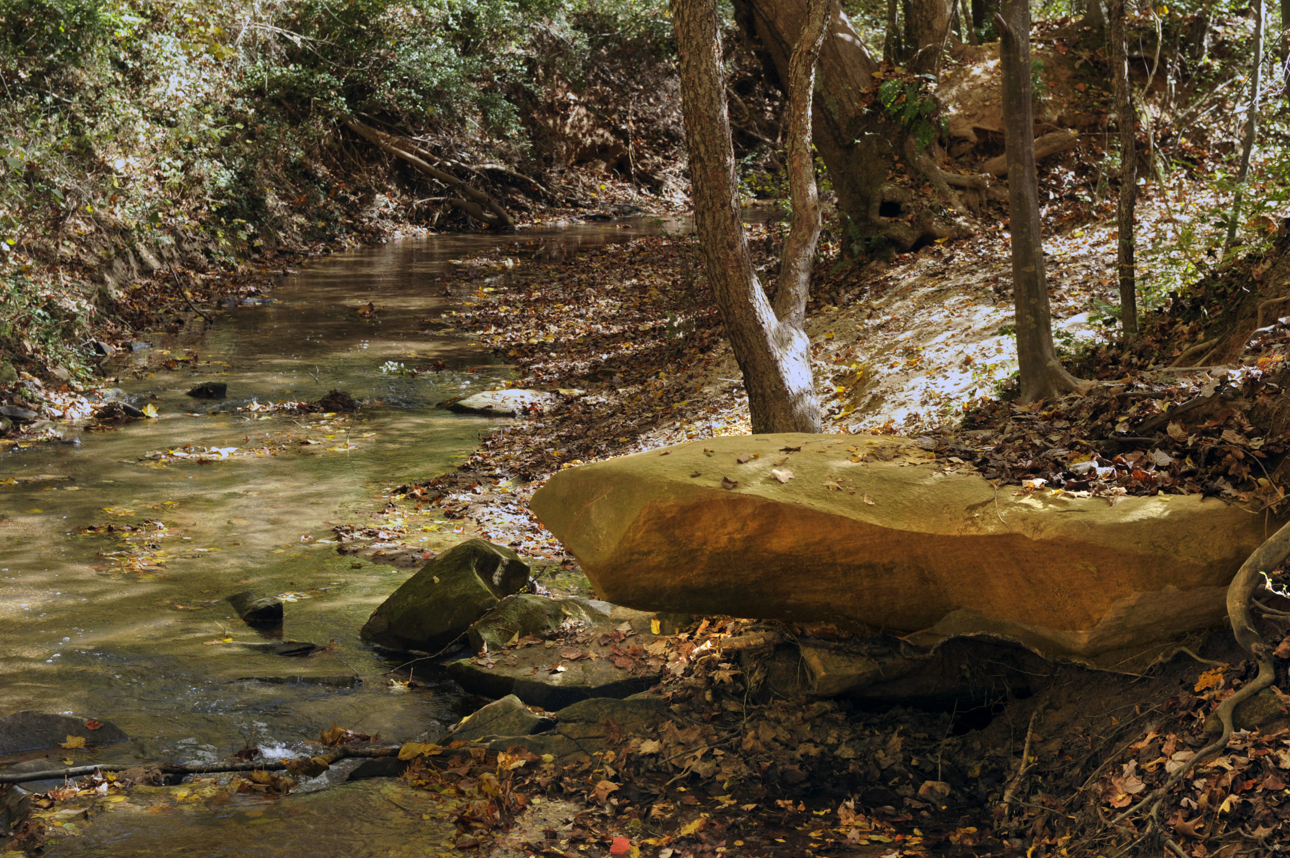 The Carolina Thread Trail Regional Network Of Trails